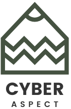 Cyber Aspect | What's New in the Cyber Space World?